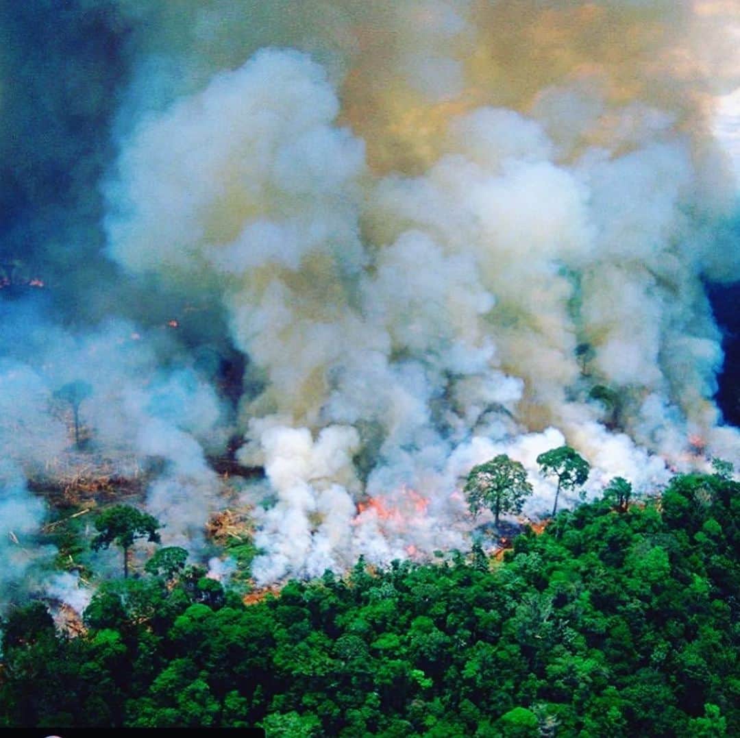 コビー・スマルダーズさんのインスタグラム写真 - (コビー・スマルダーズInstagram)「This picture of the Amazon on fire is going around the gram today and it’s truly heartbreaking. Global Warming is real and is happening and the fact that we are not acting in a way to preserve our environment is maddening. I have tried to live my life in the greenest way possible and now I’m going to cut out red meat. Who’s with me?」8月22日 8時02分 - cobiesmulders