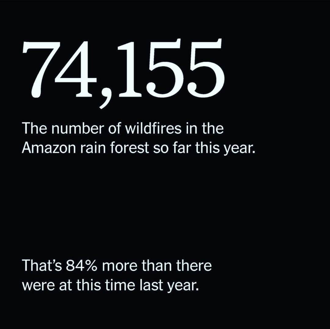コビー・スマルダーズさんのインスタグラム写真 - (コビー・スマルダーズInstagram)「This picture of the Amazon on fire is going around the gram today and it’s truly heartbreaking. Global Warming is real and is happening and the fact that we are not acting in a way to preserve our environment is maddening. I have tried to live my life in the greenest way possible and now I’m going to cut out red meat. Who’s with me?」8月22日 8時02分 - cobiesmulders