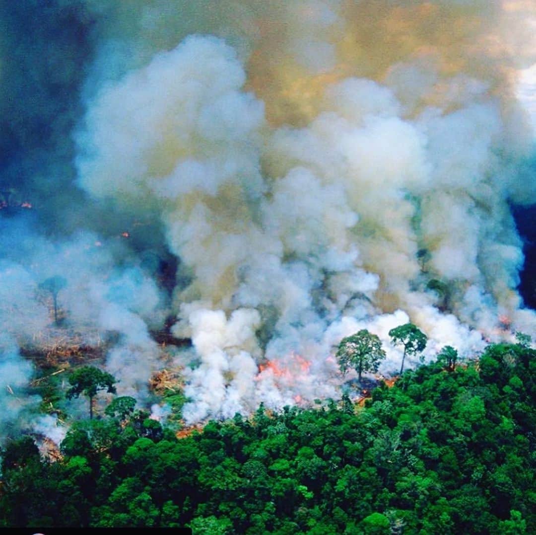 コビー・スマルダーズのインスタグラム：「This picture of the Amazon on fire is going around the gram today and it’s truly heartbreaking. Global Warming is real and is happening and the fact that we are not acting in a way to preserve our environment is maddening. I have tried to live my life in the greenest way possible and now I’m going to cut out red meat. Who’s with me?」