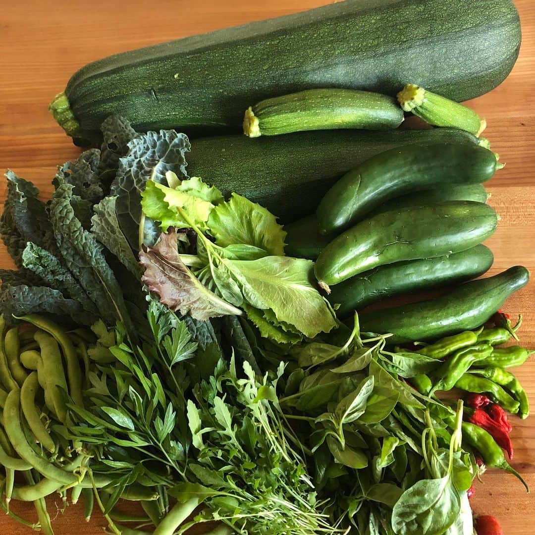 アリシア・シルヴァーストーンさんのインスタグラム写真 - (アリシア・シルヴァーストーンInstagram)「Summer garden bounty! Look how huge this zucchini is, omg! 🙀」8月22日 8時21分 - aliciasilverstone