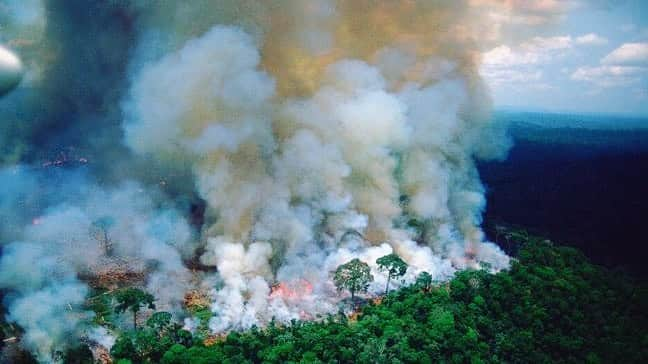 ティア・ブランコさんのインスタグラム写真 - (ティア・ブランコInstagram)「The world’s largest rainforest is deliberately being burnt down by cattle farmers in efforts to deforest land in order to meet the demand for animal products. The amazon absorbs 2.2 billion tons of carbon dioxide every year and produces more than 20% of the world’s oxygen. This rainforest is essentially the lungs of our earth. Not to mention there are millions of species burning down with the Amazon 😭. We need to raise awareness on this topic, but for some reason no one likes to talk about it. What you choose to eat has a direct impact on our world and on others. Raising cows for food is the leading cause of deforestation, species extinction and habitat destruction. My friend @brinkleydavies said it best, “It’s not only the animal you’re eating that you’re killing, it’s everything.” Right now would be a fantastic time to watch the documentary @cowspiracy on Netflix if you haven’t yet. I want to thank everyone that is doing their best to fight for this rainforest, including the firefighters & activists. #prayforamazonia #deforestation #climatecrisis #veganfortheenvironment 🇧🇷」8月22日 8時25分 - tiablanco