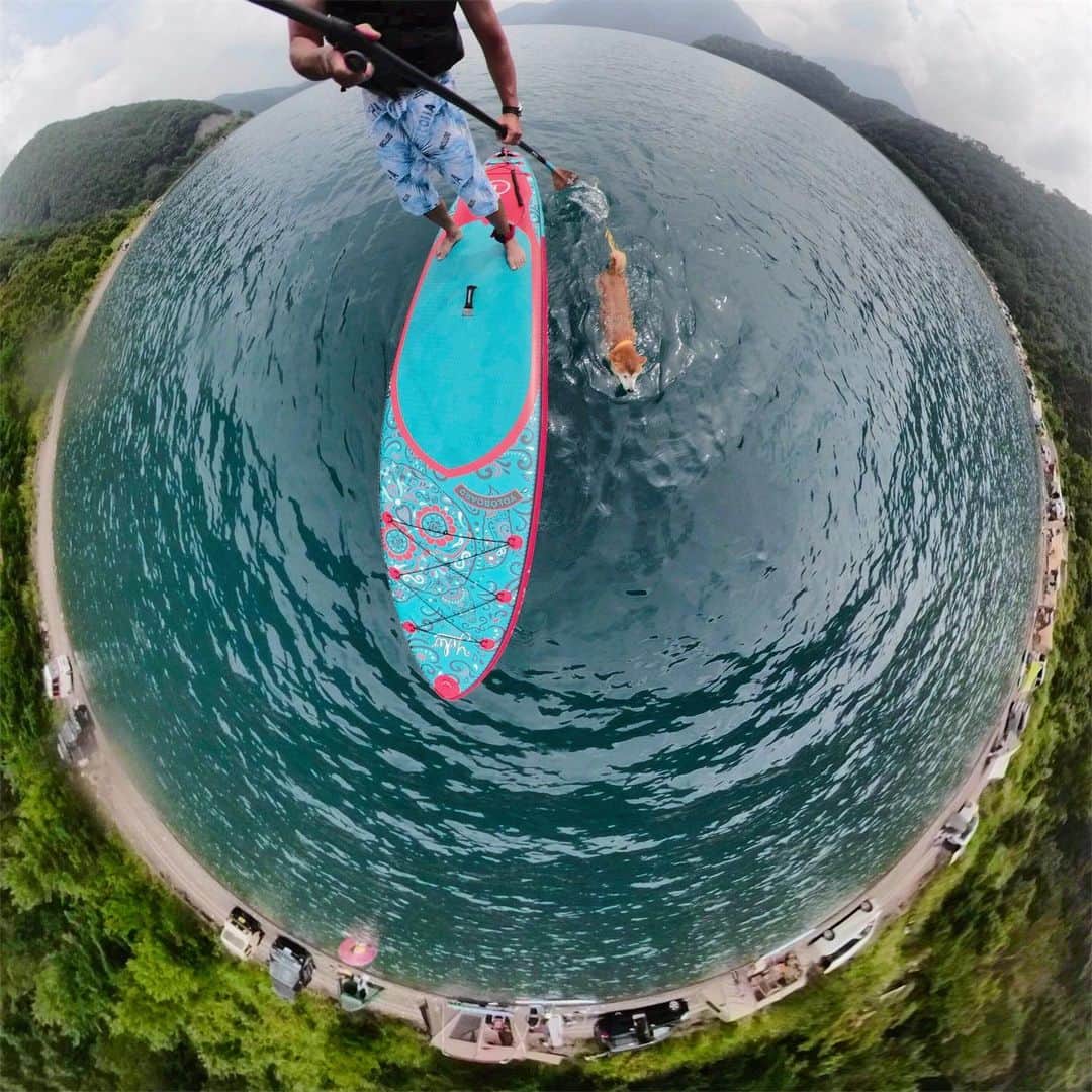 BlackRed shibasのグルメインスタ