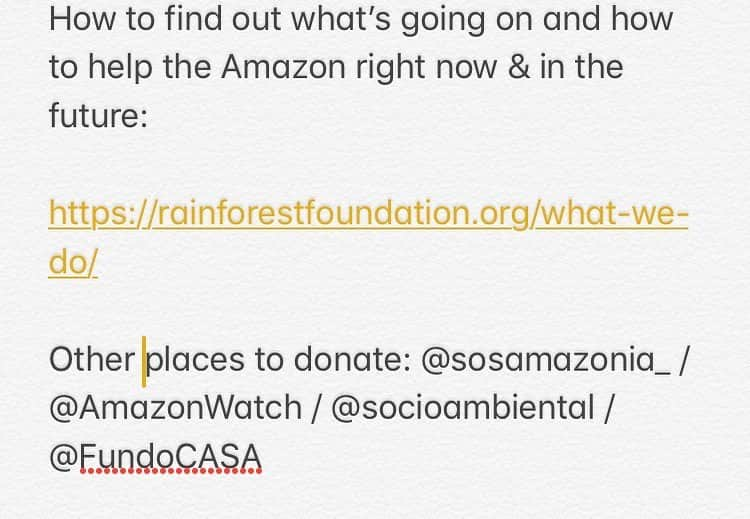 オーエン・マッケンさんのインスタグラム写真 - (オーエン・マッケンInstagram)「I wish I knew what could be done to help the tragedy in the Amazon right now, but these websites appear to be places you can support to donate & do what you can.」8月22日 9時22分 - eoincmacken