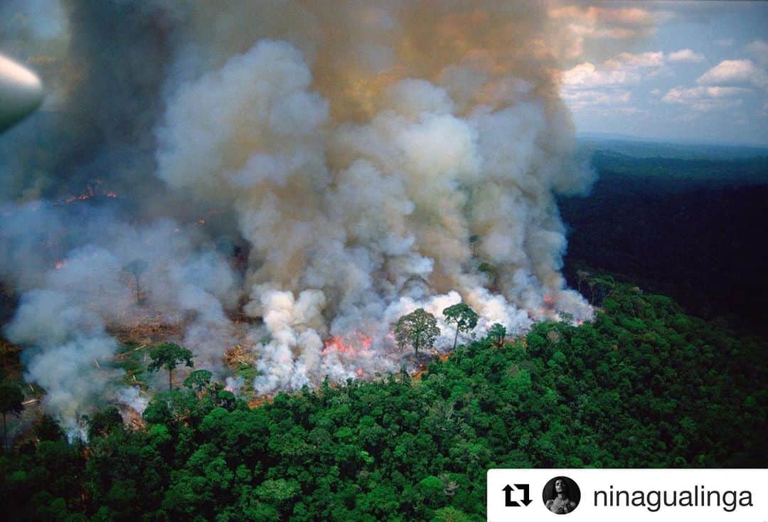 ミッキー・サムナーさんのインスタグラム写真 - (ミッキー・サムナーInstagram)「If everyone can repost a #fakenews meme that spread like wild fire, could you all please repost this real devastating vital news. And support indigenous communities at the frontlines like @amazonfrontlines @amazonwatch @greenpeacebrasil @rainforestalliance @coiabamazonia ✊  #Repost @ninagualinga ・・・ The Amazon is burning down  I can’t even wrap my head around it. My heart breaks. It hurts. The worst part of it: I don’t know what to do. How to make it stop. How to heal. I bet many of you feel the same.  But we need to do something so let’s start wit this:  1. Share this heartbreaking news. It is important to raise awareness.  2. Call and e-mail the Brazilian Embassy of your country  3. Reduce your meat consumption  4. SUPPORT INDIGENOUS PEOPLE on the frontlines in our efforts to protect our land ❗️(directly or trough NGO’s working closely)  5. Sign the petition on my stories  Here are a few organizations doing good work:  @coiabamazonia  @greenpeacebrasil  @amazonwatch  Other: @amazonfrontlines (Ecuador) @rainforestalliance  #PrayforAmazonia #StopBolsonaro #Amazonia」8月22日 9時36分 - sumnermickey