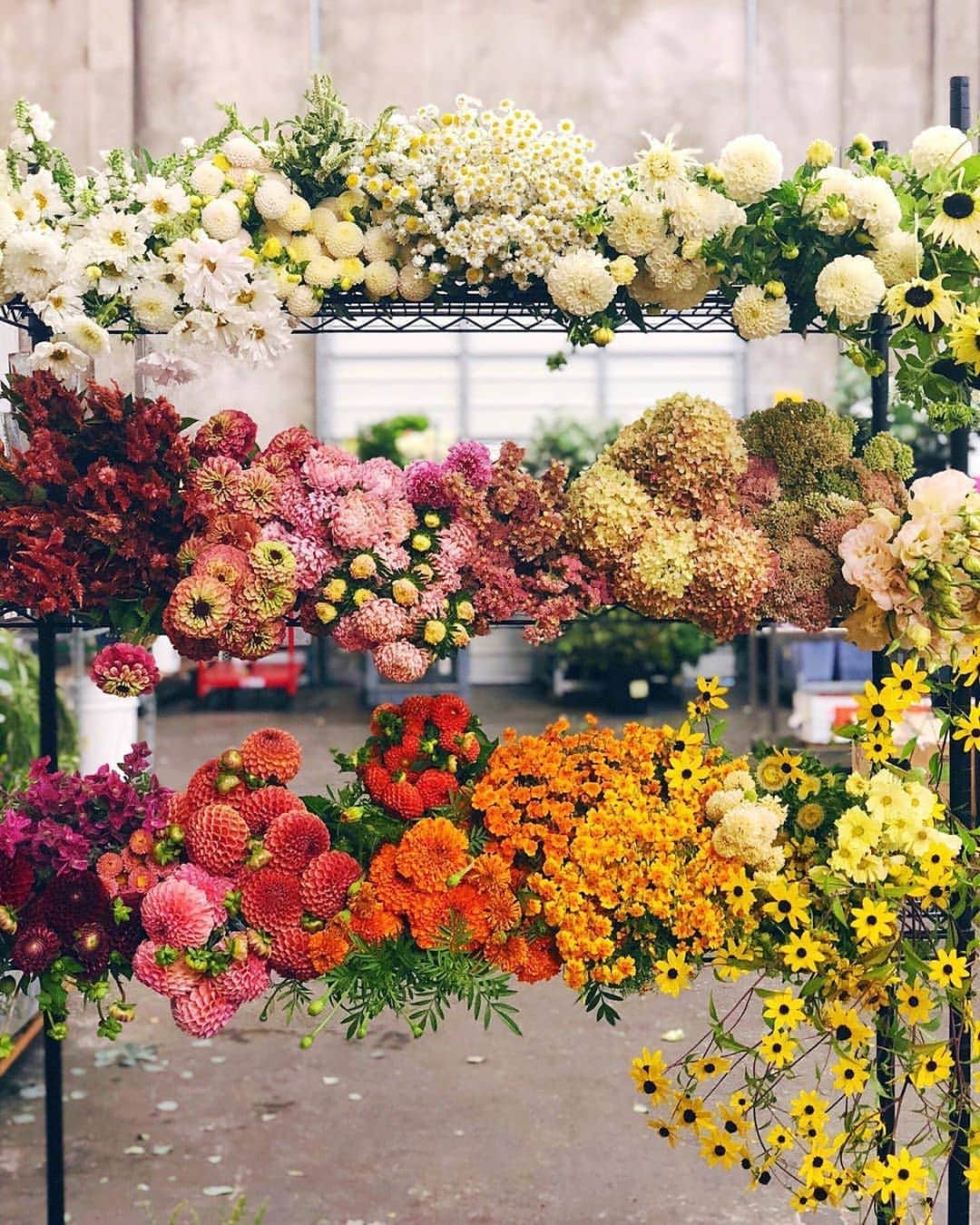 のインスタグラム：「Layers of love.  The perfect lineup courtesy of @layeredvintage  #floral #inspo #floraldesign #layeredvintage #lovestory #colorstory #YumiKim」