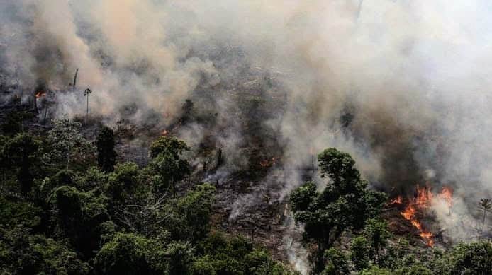 ニーナ・ガルシアさんのインスタグラム写真 - (ニーナ・ガルシアInstagram)「Our forest are our lungs. I’m devastated to read all the news coming from Brazil. 72,843 fires this year have been destroying the largest rainforest in the world. The Amazon is a vital carbon store that slows down the pace of global warming. We need to act and help as much as we can. Please visit @conservationorg‘s website to learn how you can help and protect and acre of forest.  #PrayForAmazonia. My Brazilian friends. You are not alone 🙏🏻. 📸 by @reuters」8月22日 10時18分 - ninagarcia