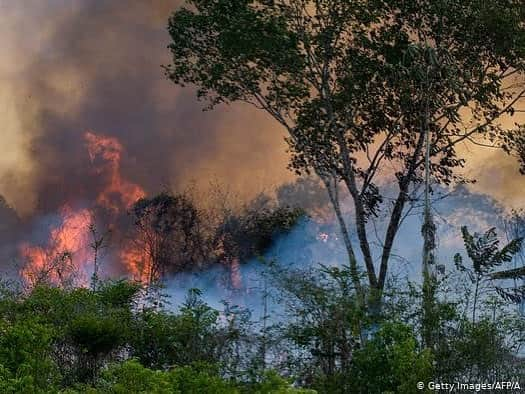 マイケル・ミュラーさんのインスタグラム写真 - (マイケル・ミュラーInstagram)「For over 2 weeks the Amazon Forrest’s been on FIRE and not one outlet has covered it.  When Norte dame was ablaze we all saw it and every wealthy person stepped up to donate. When the place that’s responsible for 20 -25% of all our oxygen is burning down we don’t care, can someone PLEASE explain this one to me?  How are we so backwards in 2019?  I somehow knew in 1999 nothing would be the same... Are you ok with the World and what’s going on today? When will people say enough is enough and take a stand?  Let it burn I guess is the consensus, but when you can’t breath don’t ask WHY?  #CLIMATECRISIS」8月22日 10時20分 - michaelmuller7