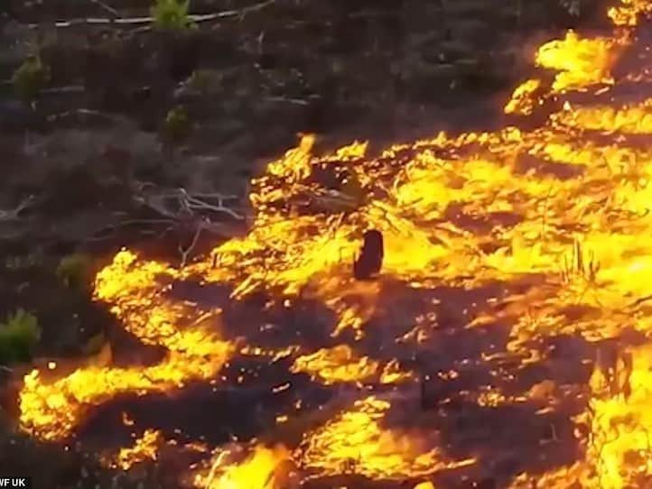 マイケル・ミュラーさんのインスタグラム写真 - (マイケル・ミュラーInstagram)「For over 2 weeks the Amazon Forrest’s been on FIRE and not one outlet has covered it.  When Norte dame was ablaze we all saw it and every wealthy person stepped up to donate. When the place that’s responsible for 20 -25% of all our oxygen is burning down we don’t care, can someone PLEASE explain this one to me?  How are we so backwards in 2019?  I somehow knew in 1999 nothing would be the same... Are you ok with the World and what’s going on today? When will people say enough is enough and take a stand?  Let it burn I guess is the consensus, but when you can’t breath don’t ask WHY?  #CLIMATECRISIS」8月22日 10時20分 - michaelmuller7