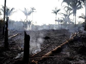 マイケル・ミュラーさんのインスタグラム写真 - (マイケル・ミュラーInstagram)「For over 2 weeks the Amazon Forrest’s been on FIRE and not one outlet has covered it.  When Norte dame was ablaze we all saw it and every wealthy person stepped up to donate. When the place that’s responsible for 20 -25% of all our oxygen is burning down we don’t care, can someone PLEASE explain this one to me?  How are we so backwards in 2019?  I somehow knew in 1999 nothing would be the same... Are you ok with the World and what’s going on today? When will people say enough is enough and take a stand?  Let it burn I guess is the consensus, but when you can’t breath don’t ask WHY?  #CLIMATECRISIS」8月22日 10時20分 - michaelmuller7