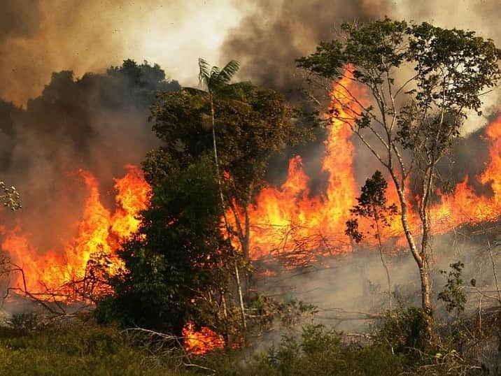 マイケル・ミュラーさんのインスタグラム写真 - (マイケル・ミュラーInstagram)「For over 2 weeks the Amazon Forrest’s been on FIRE and not one outlet has covered it.  When Norte dame was ablaze we all saw it and every wealthy person stepped up to donate. When the place that’s responsible for 20 -25% of all our oxygen is burning down we don’t care, can someone PLEASE explain this one to me?  How are we so backwards in 2019?  I somehow knew in 1999 nothing would be the same... Are you ok with the World and what’s going on today? When will people say enough is enough and take a stand?  Let it burn I guess is the consensus, but when you can’t breath don’t ask WHY?  #CLIMATECRISIS」8月22日 10時20分 - michaelmuller7