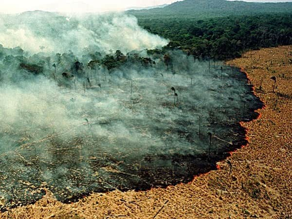 マイケル・ミュラーさんのインスタグラム写真 - (マイケル・ミュラーInstagram)「For over 2 weeks the Amazon Forrest’s been on FIRE and not one outlet has covered it.  When Norte dame was ablaze we all saw it and every wealthy person stepped up to donate. When the place that’s responsible for 20 -25% of all our oxygen is burning down we don’t care, can someone PLEASE explain this one to me?  How are we so backwards in 2019?  I somehow knew in 1999 nothing would be the same... Are you ok with the World and what’s going on today? When will people say enough is enough and take a stand?  Let it burn I guess is the consensus, but when you can’t breath don’t ask WHY?  #CLIMATECRISIS」8月22日 10時20分 - michaelmuller7