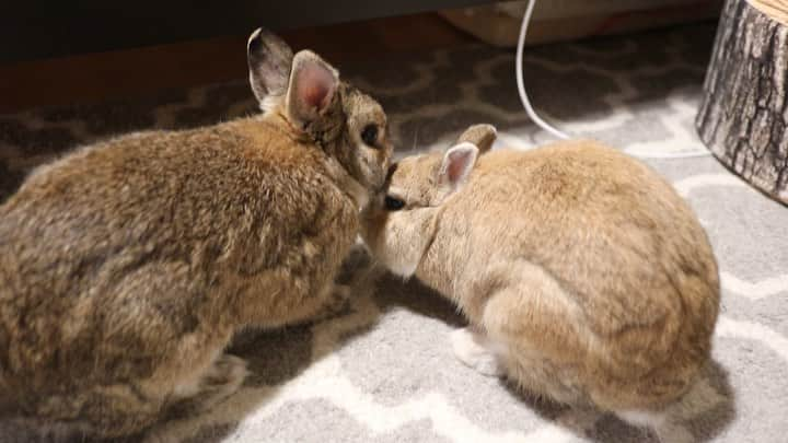 うー & なー ❤️ウチムラのインスタグラム