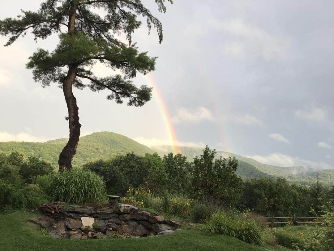 クリス・ノースさんのインスタグラム写真 - (クリス・ノースInstagram)「Rainbow and the White Pine- a Summer Eve.」8月22日 10時57分 - chrisnothofficial