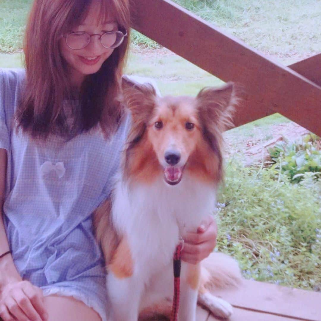 渚のインスタグラム：「ログハウスで寝起きにメルさんと🐶 #garden #sheltie #シェルティ #シェルティー #dog #dogstagram #dogs」