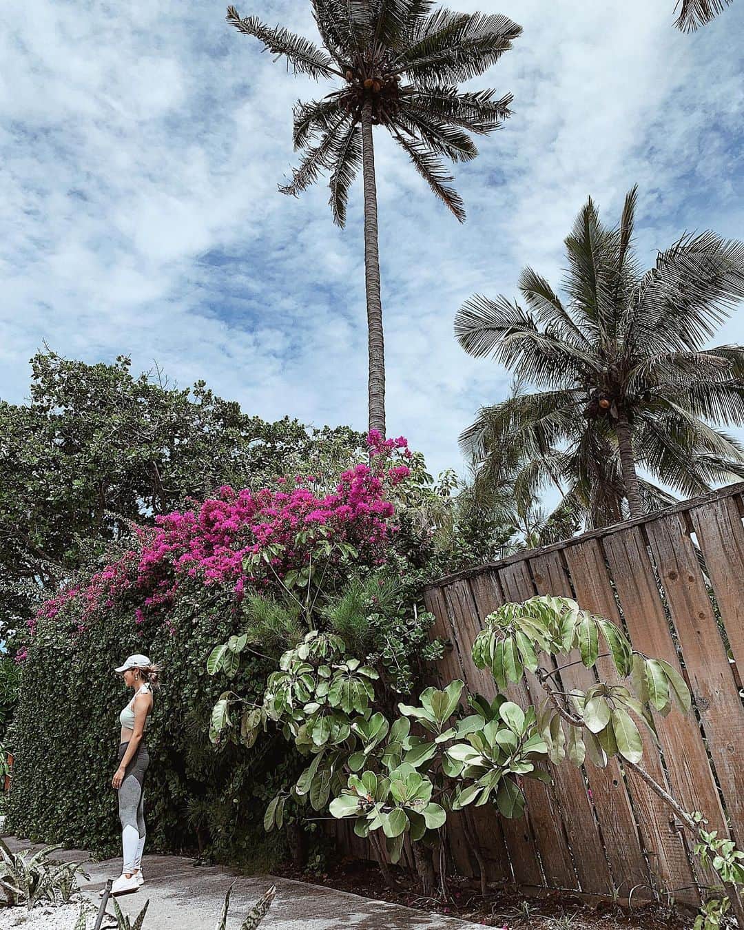 森山菜々のインスタグラム：「✯ Hawaii欲💭🤭🥺🌴 次の長期のお休みは秋頃かな〜?🍁 #hawaii #palm #hawaiilife」