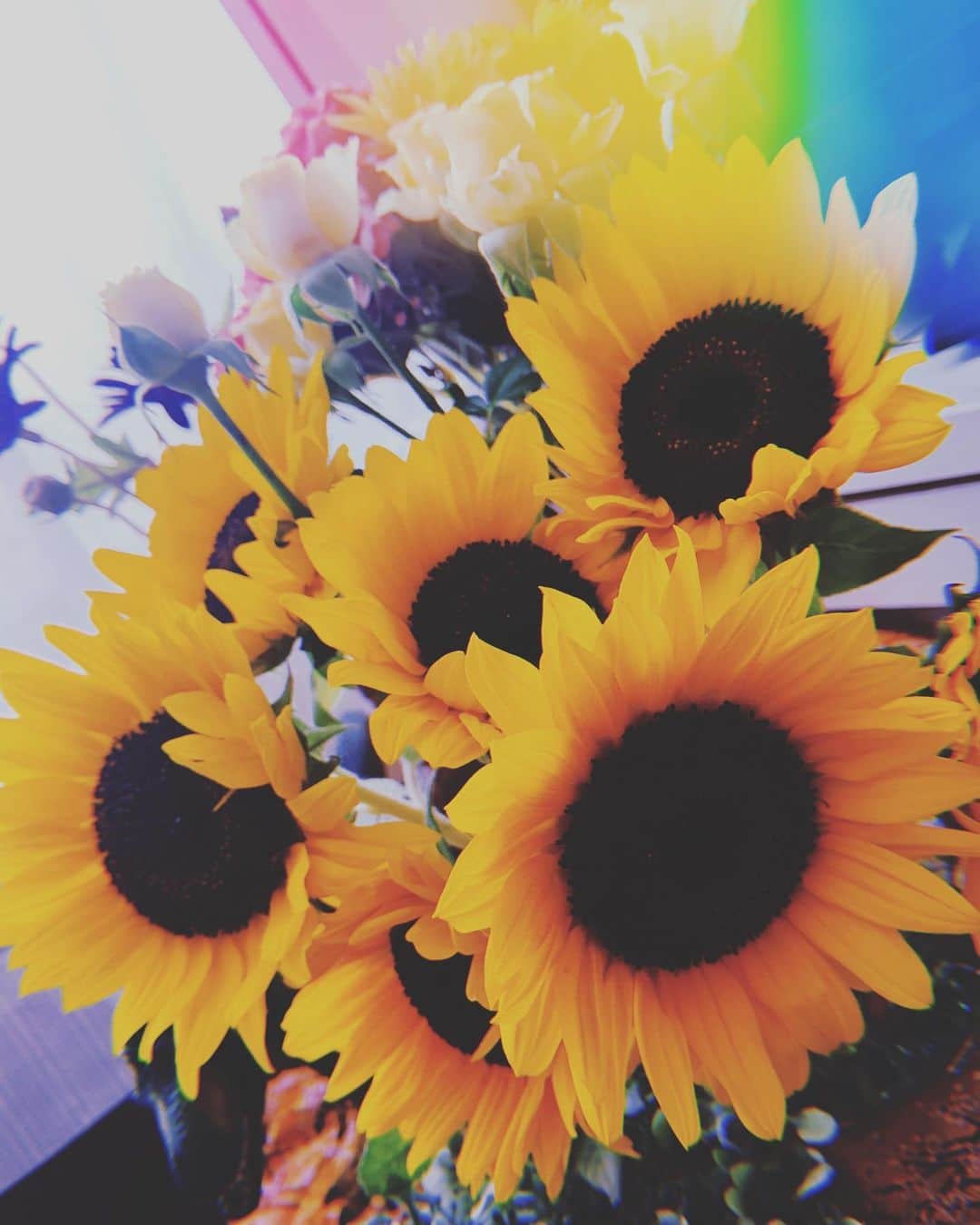 のインスタグラム：「🌻」