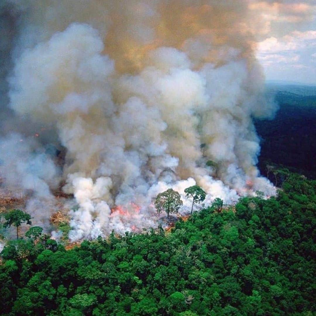 ルイス・ハミルトンさんのインスタグラム写真 - (ルイス・ハミルトンInstagram)「It is devastating to see our world suffer. The Amazon rainforest is burning at a record rate and there have been 80% more fires this year compared to last. Scientist refer to the Amazon as the earths lungs as it produces 20% of the oxygen we breath. More than a soccer field is being destroyed every minute everyday, the world needs to come together and help. If you haven’t already, please post about it, it is vital we continue to spark action. @unitednations if there is anything I can do, I’m ready to help in anyway I can. #healtheworld #brazil #pray」8月22日 22時43分 - lewishamilton