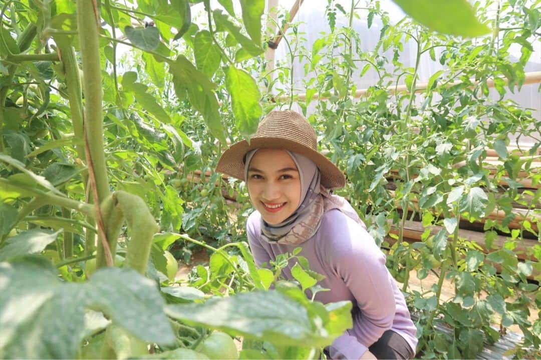 メロディー・ヌランダニ・ラクサニさんのインスタグラム写真 - (メロディー・ヌランダニ・ラクサニInstagram)「Also with Momotaro Tomato🍅 can’t wait for harvesting!!! Tomat Momotaro jugaaa🍅 gak sabar untuk panennya!!! #japan #asean #goodwill #ambassador #food #agriculture #momotarotomato #tomat #momotaro」8月22日 21時26分 - melodylaksani92