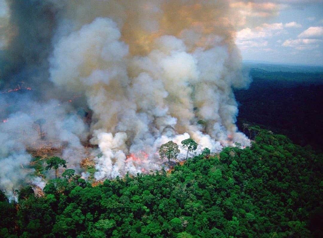 アニヤ・ルービックさんのインスタグラム写真 - (アニヤ・ルービックInstagram)「16 day in a row !!!! Terrifying to think that the Amazon is the largest rain forest on the planet, creating 20% of the earth’s oxygen, basically the lungs of the world, has been on fire and burning for the last 16 days running, with literally NO media coverage whatsoever! Why? !#RG @IamNickRose @leonardodicaprio」8月22日 21時27分 - anja_rubik