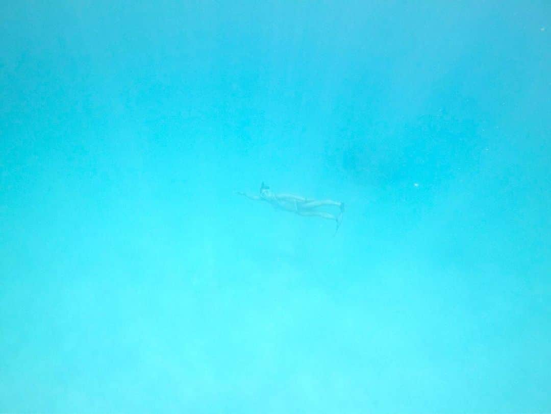 藤巻紗月のインスタグラム：「🦈💙🦈💙 私を探せ！ #海 #水色」