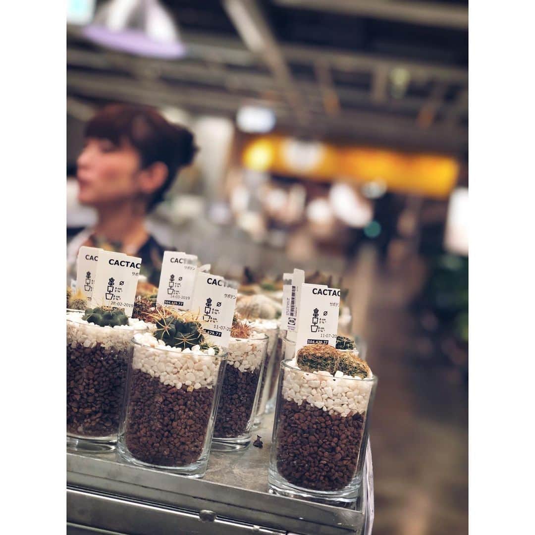 岡田鷹斗さんのインスタグラム写真 - (岡田鷹斗Instagram)「IKEA de off shot...📸👦 ・ ・ ・ 撮影者→okadayukari(mother🤱) ・ ・ ・ 久しぶりに親子でめちゃくちゃ色んな話したり、僕がお母さんを車に載せて高速乗るのも なんだか新鮮でした。  #IKEA  #homecenter  #japan #fashion  #men #mother #holiday #drive  #fira #supreme #NEVAGIVEUP  #岡田鷹斗」8月22日 21時42分 - okada_takato