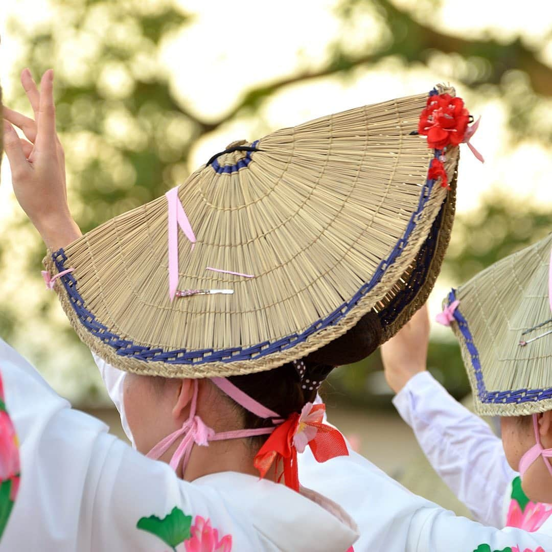 All Nippon Airwaysさんのインスタグラム写真 - (All Nippon AirwaysInstagram)「Get your dancing shoes ready. The Koenji Awa-Odori festival is celebrated every final weekend in Tokyo, and the dance teams are not to be missed! 👯‍♀️」8月22日 22時00分 - allnipponairways