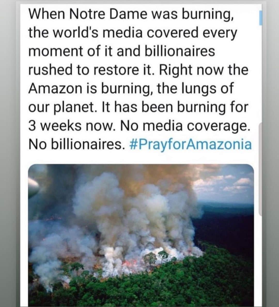 ルイージ&イアンゴさんのインスタグラム写真 - (ルイージ&イアンゴInstagram)「Urgently :  The lungs of the Planet burns in  the indifference of the world Amazon Forest 🌳 Devastating fires are 'INCREASING  We have to react before is too late 🌟」8月22日 22時01分 - luigiandiango