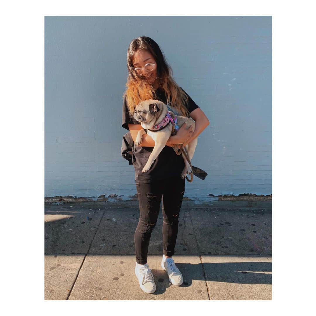 Melissa Santiagoのインスタグラム：「Pure Joy 😆 Pure pig 💕 . . . .  #DailyPug #LeicaHarrietPancakes」