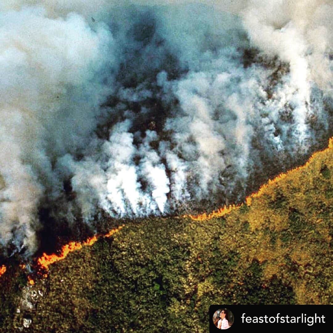 エヴァンジェリン・リリーさんのインスタグラム写真 - (エヴァンジェリン・リリーInstagram)「Posted @withrepost • @feastofstarlight Brazil's Amazon rainforest is on fire. Brazil's Amazon rainforest is on fire for 16 DAYS straight now.  Nobody is talking about this.  One of the most important ecosystems on earth is burning.  I'm sad, my heart is broken and I'm...angry. How did we let things get this far?  When the human race decided that this absurd hunger for power, for having, for taking, for more... was worth thousand of lives and species?  How we, as human beings, with hearts and the ability to think let things get so out of our hands?  Brazil's Amazon rainforest is burning but our president couldn't care less.  He also doesn't believe in climate change. He looks at the forest and sees...money.  Let me tell something: YOU CANNOT EAT MONEY. YOU CANNOT BREATH MONEY.  The Amazon rainforest devastation is growing every single day. You can't rebuild it from one day to another. What is happening today will have an impact on the entire world for years and years to come.  Is it worth it?  Was it worth? Brazil's Amazon rainforest is burning I'm crying My tears can't stop the fire.  I'm watching it burns.  What have we done? . . "When the last tree is cut down, the last fish eaten, and the last stream poisoned, You will realize  That you cannot eat money" . . . -I'll leave the link in my bio to the ones who want to understand what's going on. The fire has been happening for 16 days now and has already impacted the air quality in a lot of other states in Brazil and the fire is heading to other states and countries.」8月22日 13時49分 - evangelinelillyofficial
