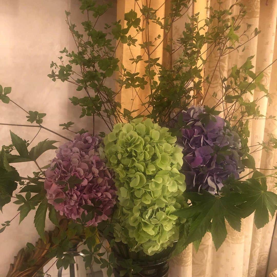 紫吹淳さんのインスタグラム写真 - (紫吹淳Instagram)「今週のお花です。 10/27に行われる「映美くらら芸能生活20周年記念パーティー」にゲスト出演致します。詳しくはブログで…」8月22日 14時04分 - jun_shibuki_official