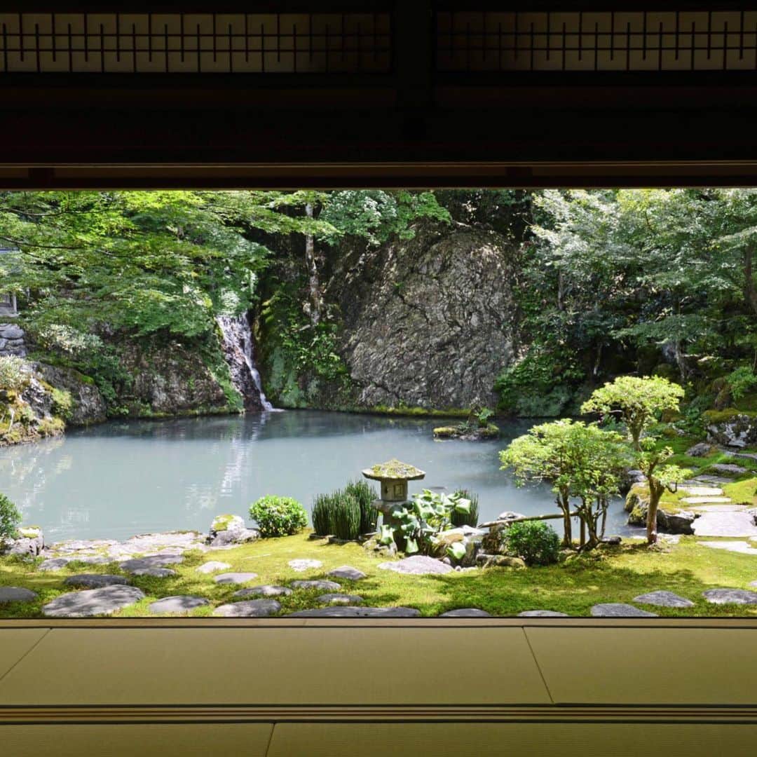 The Japan Timesのインスタグラム