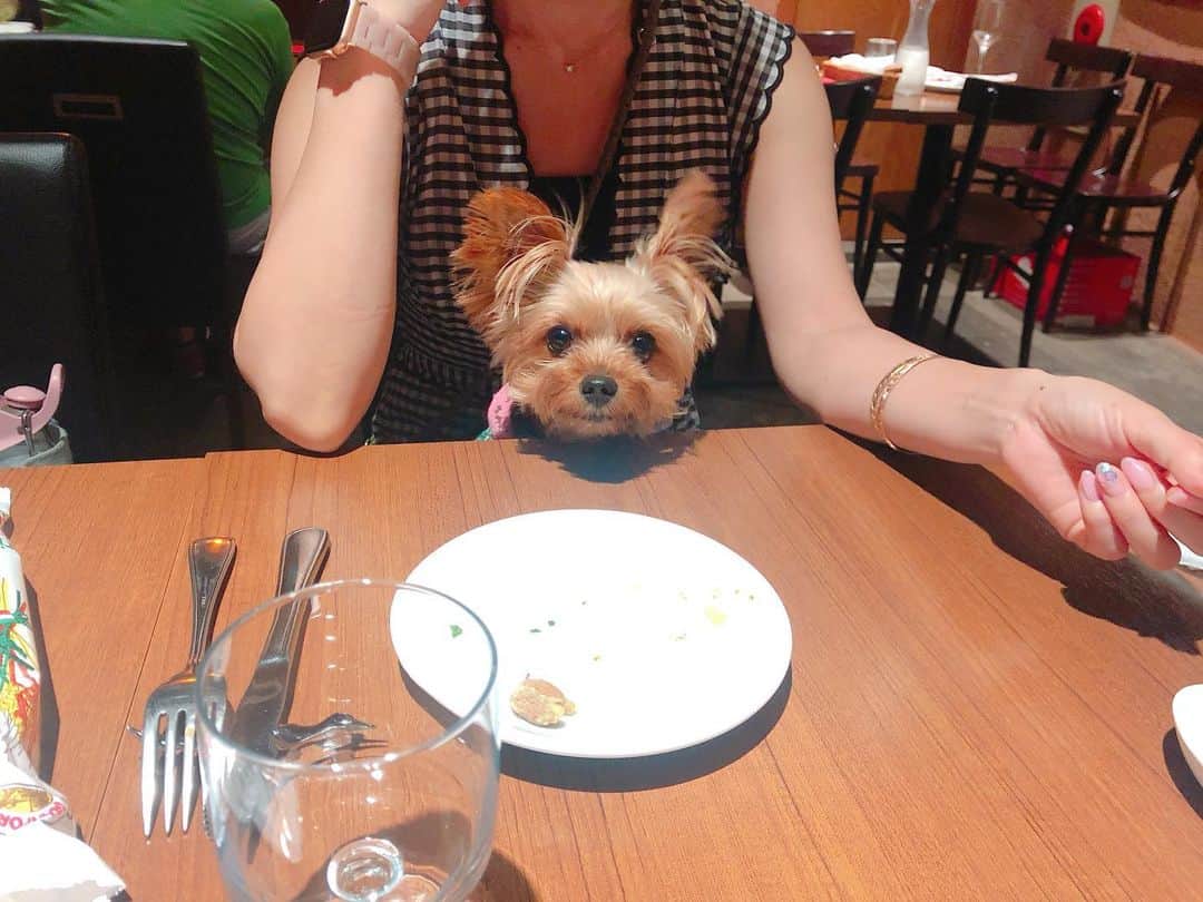 Rubyのグルメインスタ