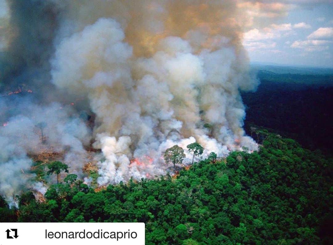 ビパシャ・バスーさんのインスタグラム写真 - (ビパシャ・バスーInstagram)「Terrifying to think that the Amazon is the largest rain forest on the planet, creating 20% of the earth’s oxygen, basically the lungs of the world, has been on fire and burning for the last 16 days running, with literally NO media coverage whatsoever! Why? #amazonfire #prayforamazonas 🙏」8月22日 15時24分 - bipashabasu