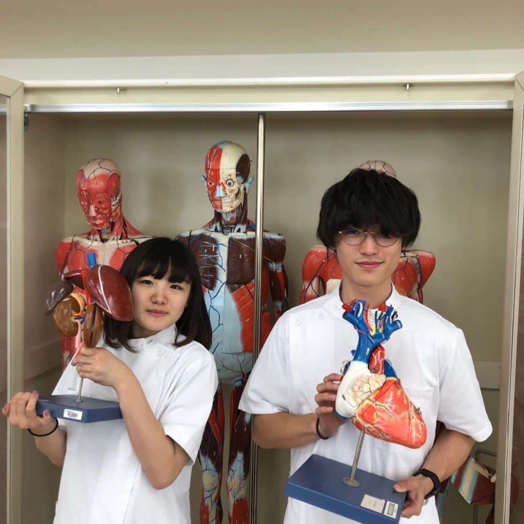 東京医薬専門学校さんのインスタグラム写真 - (東京医薬専門学校Instagram)「臨床工学技士科です！ 臨床工学技士は模型などを使い！ 臓器や血管を覚えます！ 分からないことがありました是非オープンキャンパスへお越しください！」8月22日 15時45分 - tokyo_iyaku