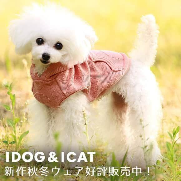 iDog&iCatのインスタグラム