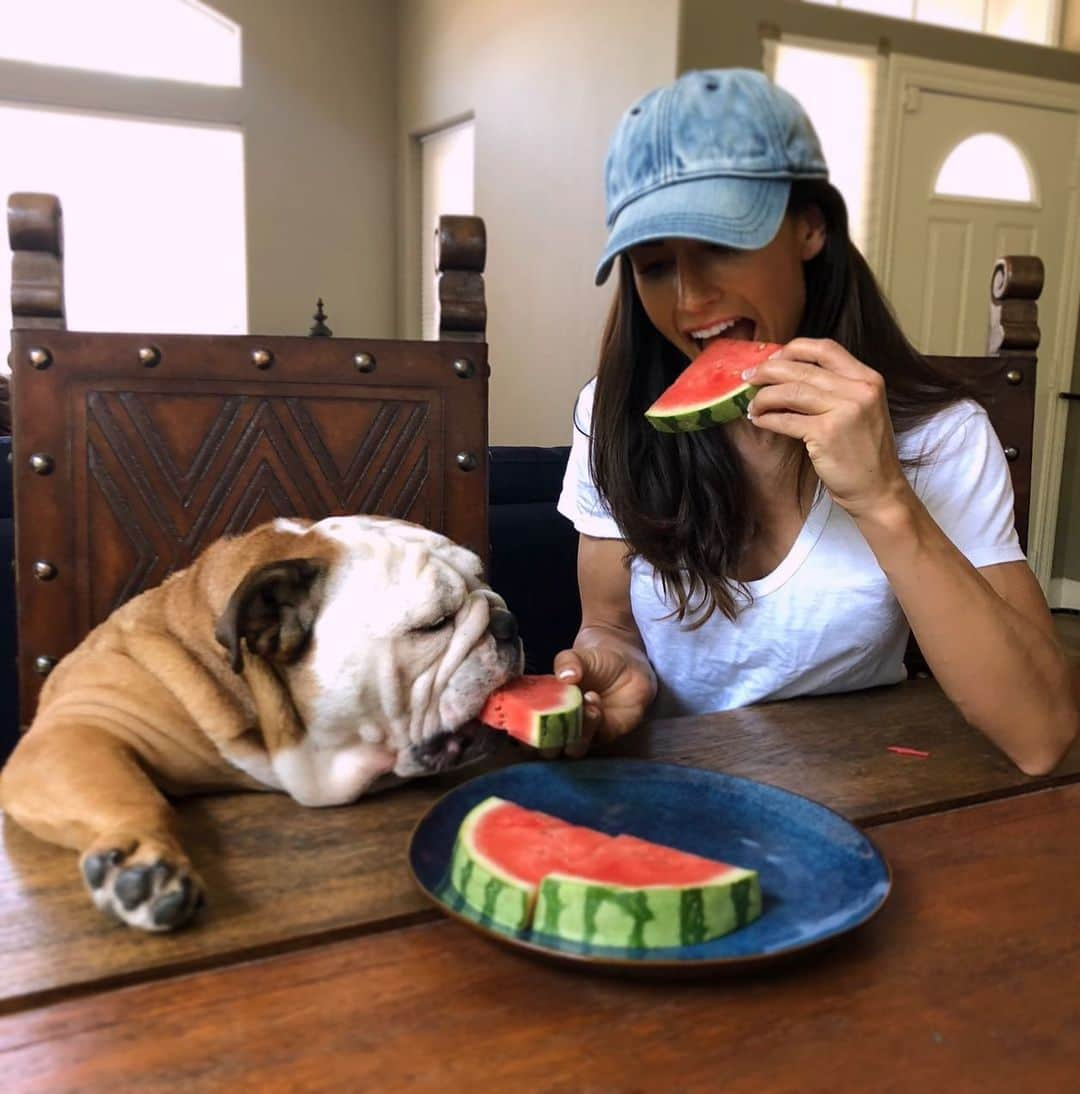 Alexia Clarkさんのインスタグラム写真 - (Alexia ClarkInstagram)「Happiness is the only thing that multiples when you share it ❤️❤️ www.alexia-clark.com  #alexiaclark #queenofworkouts #queenteam #queen2019 #share #love #happiness #englishbulldog #puppies #dogsofinstagram #fitforHisreason」8月22日 16時17分 - alexia_clark