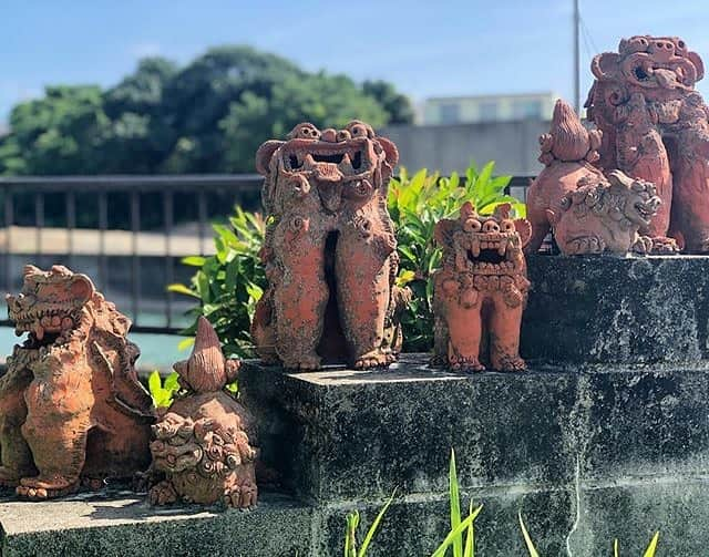 Be.okinawaさんのインスタグラム写真 - (Be.okinawaInstagram)「The Shisa guardian dogs come in different shapes and sizes... and also different facial expressions! What's your favorite kind? Do you like the goofy looking ones or the powerful lookings ones? 📷:@okinawa_life  #shisa #traditionalcrafts #沖繩招福獅 #傳統工藝 #시서 #전통공예 #シーサー #伝統工芸 #yachimun #redclaypottery #beokinawa #visitokinawa」8月22日 16時40分 - visitokinawajapan