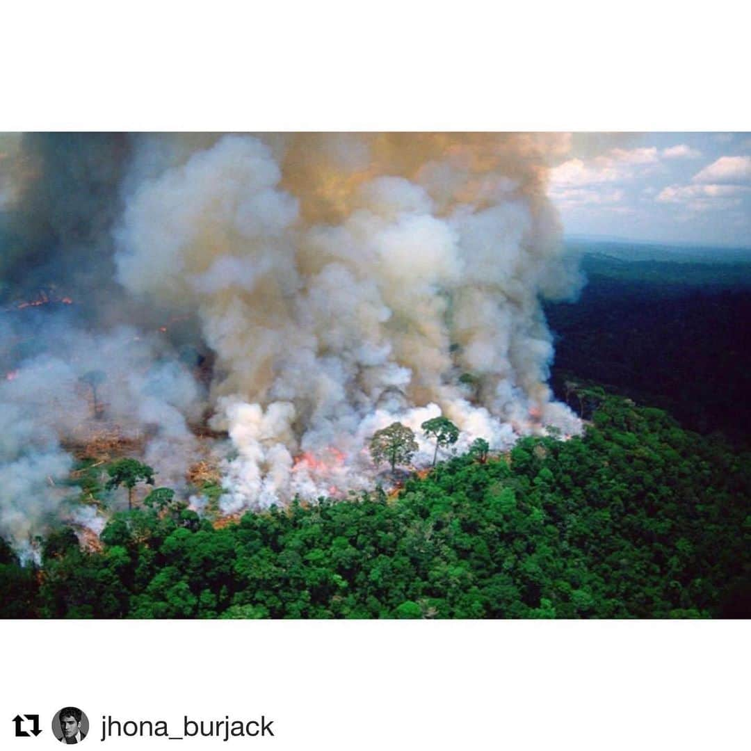 アンナ・デッロ・ルッソさんのインスタグラム写真 - (アンナ・デッロ・ルッソInstagram)「#Repost @jhona_burjack 💔💔💔 #repost @leonardodicaprio  Regram #RG @IamNickRose: Terrifying to think that the Amazon is the largest rain forest on the planet, creating 20% of the earth’s oxygen, basically the lungs of the world, has been on fire and burning for the last 16 days running, with literally NO media coverage whatsoever! Why? We still have time! Let’s preserve !!」8月22日 16時56分 - annadellorusso