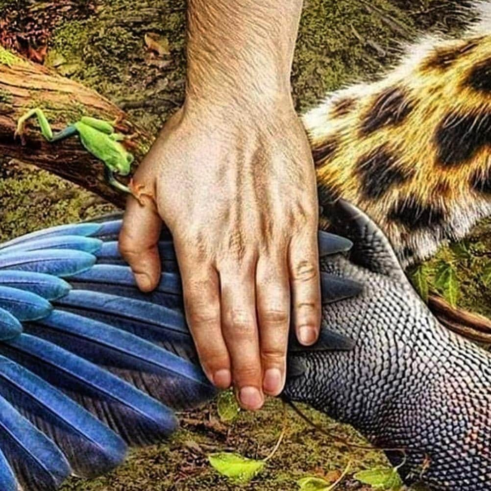 イケル・カシージャスさんのインスタグラム写真 - (イケル・カシージャスInstagram)「#prayforamazonas 😔」8月22日 22時53分 - ikercasillas