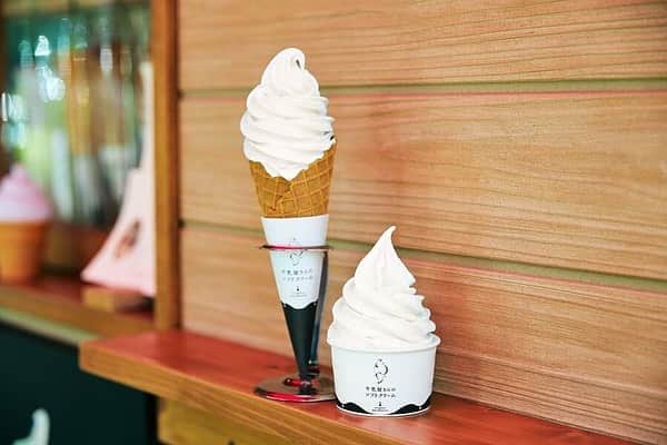 レッツエンジョイ東京さんのインスタグラム写真 - (レッツエンジョイ東京Instagram)「.﻿ ✩★------------------﻿ 1日300個売れる「牛乳ソフトクリーム」！﻿ 老舗の牛乳配達店による濃厚な絶品ソフトを堪能﻿ ------------------✩★﻿ ﻿ 「牛乳屋さんのソフトクリーム」という店名通り、牛乳配達のお店が手掛けている同店🐄﻿ ﻿ 自慢のソフトクリームはまさに濃厚！ひと口ごとに牛乳の風味が広がり、やや固めながらも滑らかな舌触り😋💕﻿ 風味だけでなく、食感からも濃厚さを感じられます💫﻿ ﻿ それでいて後味はすっきりしているから、飽きずに食べられるどころか、おかわりまでしたくなっちゃいます♥﻿ ﻿ 🥛：牛乳屋さんのソフトクリーム﻿ 📍：南阿佐ヶ谷﻿ 詳細はアカウントトップから﻿ 👉@lets_enjoytokyo﻿ ﻿ #レッツエンジョイ東京 #ぐるなび﻿ #おでかけ #トキメキ女子﻿ #牛乳屋さんのソフトクリーム﻿ #ソフト #牛乳ソフトクリーム﻿ #ソフトクリーム #ソフトクリーム部﻿ #ソフトクリーム🍦 #ソフトクリーム好き﻿ #ソフトクリーム大好き #softcream﻿ #牛乳 #牛乳大好き #甘党﻿ #カフェ部 #カフェ巡り #東京カフェ﻿ #カフェスタグラム #カフェ散歩﻿ #カフェ好き #東京スイーツ﻿ #世田谷グルメ #世田谷カフェ﻿ #南阿佐ヶ谷 #阿佐ヶ谷」8月22日 17時35分 - lets_enjoytokyo