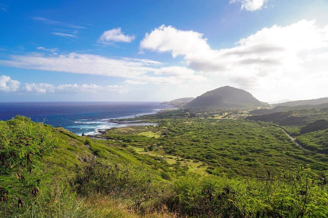 ハワイアン航空さんのインスタグラム写真 - (ハワイアン航空Instagram)「オアフ島の東海岸に行ったことがある方は、#マカプウポイント をご存知ですよね？真っ青な海が広がるマカプウポイントからの眺望は圧巻です。マカプウ・ライトハウス・トレイルは頂上の展望台まで片道約40分程のトレイル・コースです。舗装された道を登るのでお子様連れでも安心して楽しめます👟そして何より、この絶景からパワーチャージできますよ⚡  #マカプウ #オアフ島東海岸 #ハワイ絶景の旅」8月22日 17時37分 - hawaiianairlinesjp