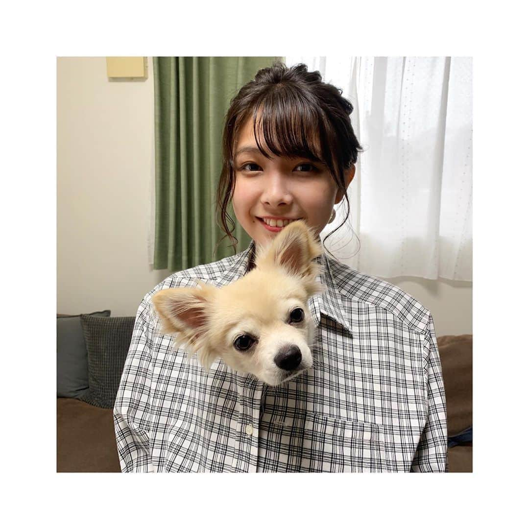 寺本莉緒さんのインスタグラム写真 - (寺本莉緒Instagram)「うちの子可愛いでしょ😍 . . . #犬#愛犬」8月22日 17時43分 - lespros_rio