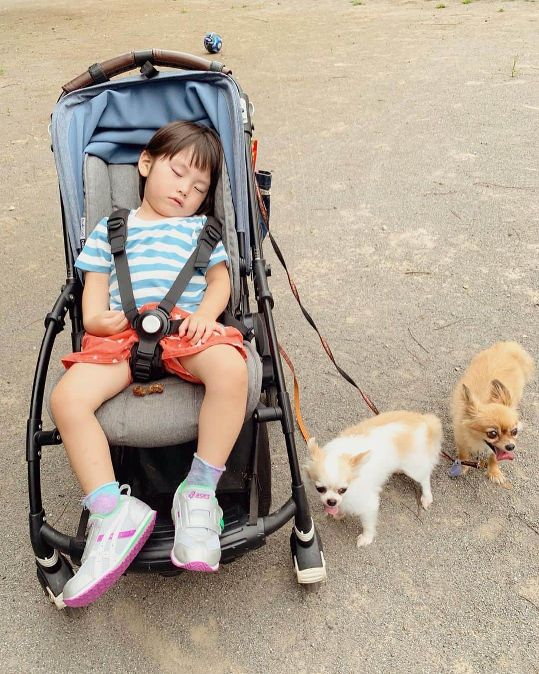 むらたさきさんのインスタグラム写真 - (むらたさきInstagram)「⚽️⚽️ ． 最近の、母子の休日👦👦🙋‍♀️🐶🐶 ． 日中は灼熱なので、 昼間はベランダでプール☞流しそうめん🤤🍜 ． ↑ 長男のリクエストで スライダー式の流しそうめん器を購入しました👌😂 (先週のキャンプにも持って行った🏕♡) ． 組み立て＆片付けがかなり面倒やけど、 ただのそうめんが大盛り上がりの食事になっとる☺️👍 ． 流れが早くて次男がうまくすくえずフテくされると、 仕方ない💪！と 兄が代わりに取ってくれたり〜 なんてドラマも生まれる🍽😂爆 ． (ストーリーズ、まだ観れるかな🐰🎥？) ． ． ． ． ． 夕方涼しくなってきてからは、 公園によりつつ、犬散歩＆買い出しに🏃‍♂️🏃‍♂️🏃‍♀️🐶🐶 ． 最近こればかり履いとる長男のスニーカーは レーザービームのMINIMALシリーズ👟✨ ． 軽くて、歩きやすくて、運動しやすいそう👌☺️ ． 今までは マジックテープの靴ばかりやったので、 初めての紐のある靴に “お兄さん” 感を感じて それもまた気に入っとるらしい😘👍 ． ． ． ． ☞ 5枚目♡ ． プールで疲れたのか 次男は公園に着く直前にお昼寝してしまったので、 お土産はセミの抜け殻にしよう！と 長男が探しとった🦗🦗😂👍 ． (虫は写っとらんのでご安心ください👏☺️) ． ． ． ． ． ． ． ． ． ． ． ． ． ． #6歳 2ヶ月 #3歳4ヶ月 #妊娠9ヶ月 #兄ちゃんとおとうと #アシックスレーザービーム  #mamagramer_pr#MINIMAL」8月22日 17時49分 - muratasaki