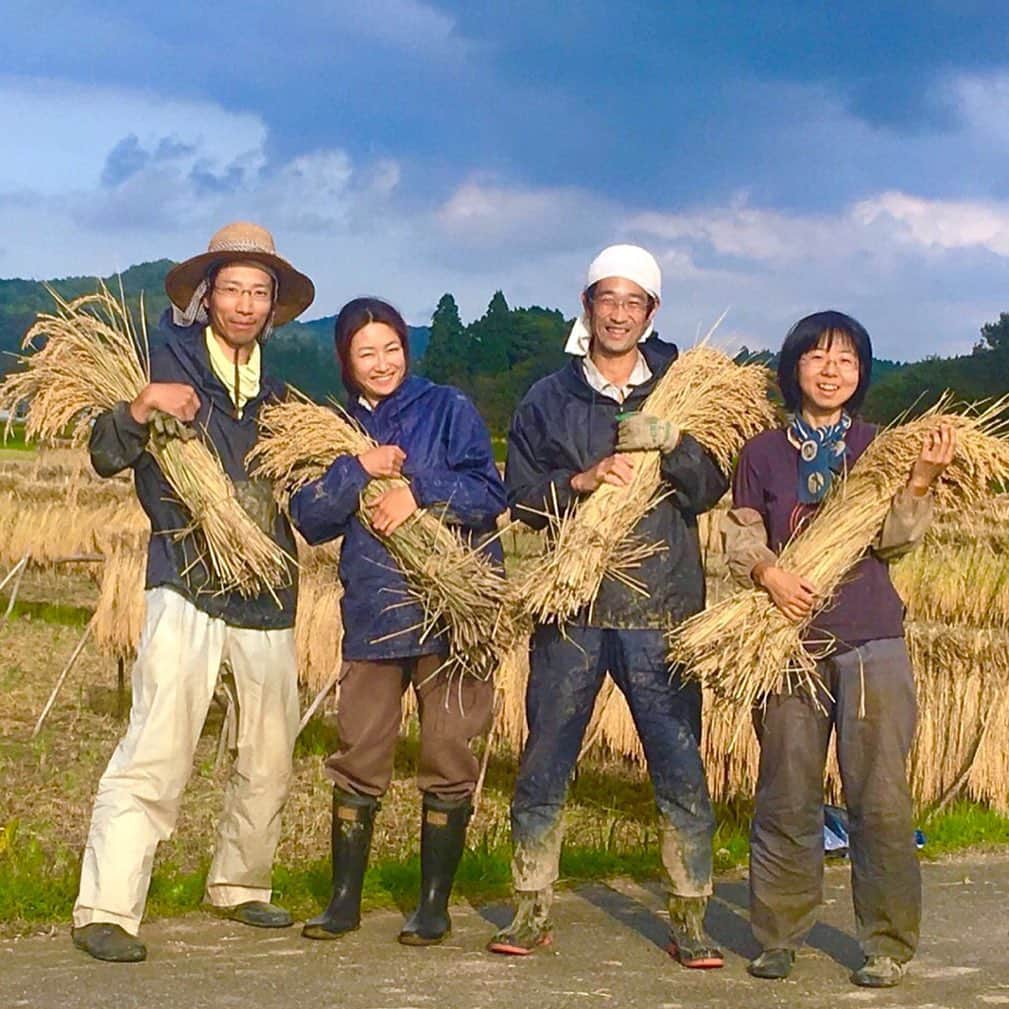 イーマさんのインスタグラム写真 - (イーマInstagram)「週末マルシェ「グルテンフリーマーケット」🌿 . 24日(土)出店のSHOPをご紹介します💁🏻‍♀️ . グルテンフリーな食材・食品はもちろん、採れたて自然農法のお野菜や天然素材でできたフードラップのお店まで🍞🛍 . トークイベント・ワークショップもありますよ✨ 詳しい情報は http://www.greengood.link/event/glutenfree/ からご確認ください👀 ※イーマHPイベントページからもリンクしています。 . 週末梅田にお越しの際は、ぜひお立ち寄りくださいね～🙌🏻🙌🏻🙌🏻 . . - - - 参加SHOP（24日） - - - ◆GRAND ／ グルテンフリーパン、スコーン、ラスク ◇淡路島みつばちラップ ／ みつばちラップ ◆空庭（米粉LOVERS！） ／ 米粉各種、米粉麺、米粉レシピブック など ◇羽間農園 ／ 農園素材の米粉スイーツや米粉・玄米粉 など ◆ムスビガーデン大手通店 ／ 米粉のおとうふマフィン、クッキー など ◇くるみ工房 ／ グルテンフリーパン、焼きドーナツ、クッキー、ジャム など ◆Bambi's sweets ／ 米粉マフィン＆スイーツ、ローチョコレート ◇miya_bake @miya_bake ／ グルテンフリー焼き菓子各種 ◆粉源 ／ グルテンフリーパン用米粉、炒り玄米粉 など ◇ホリスティック自然ファーム ／ 自然農法のお野菜や果物各種 ◆オリーブオイルの専門店 油屋マルキチ ／ エキストラバージンオリーブオイル ◇OiL in Style @oilinstyle2017 ／ 亜麻仁オイル、麻の実オイル ◆仁淀川きくらげ ／ 生きくらげ、乾燥きくらげ など ◇自家焙煎珈琲 バビルサ ／ 自家焙煎コーヒー豆、ハンドドリップホットコーヒー、黒大豆コーヒー など . . ▽▼▽▼▽▼▽ Glutenfree Market by大阪ぐりぐりマルシェ 8/24(sat)・25(sun) 11：00～18：00 イーマ1F 南エントランス . . ※詳しい情報は ▶︎ @e_ma.official TOPのURLを👉🏻📱 ※「Glutenfree Market」でのお買い物は「阪急阪神おでかけカード」のポイント対象外です。 . . . #大阪ぐりぐりマルシェ #ぐりぐりマルシェ #マルシェ #marche #マルシェイベント #食 #産直野菜 #産直 #cafe #cafe部 #カフェ #cafe巡り #グルテンフリー #glutenfree #ヴィーガン #vegan #cake #sweets #マルシェ #marche #workshop #ワークショップ #週末 #イベント #週末イベント #event #梅田 #大阪 #イーマ」8月22日 17時59分 - e_ma.official