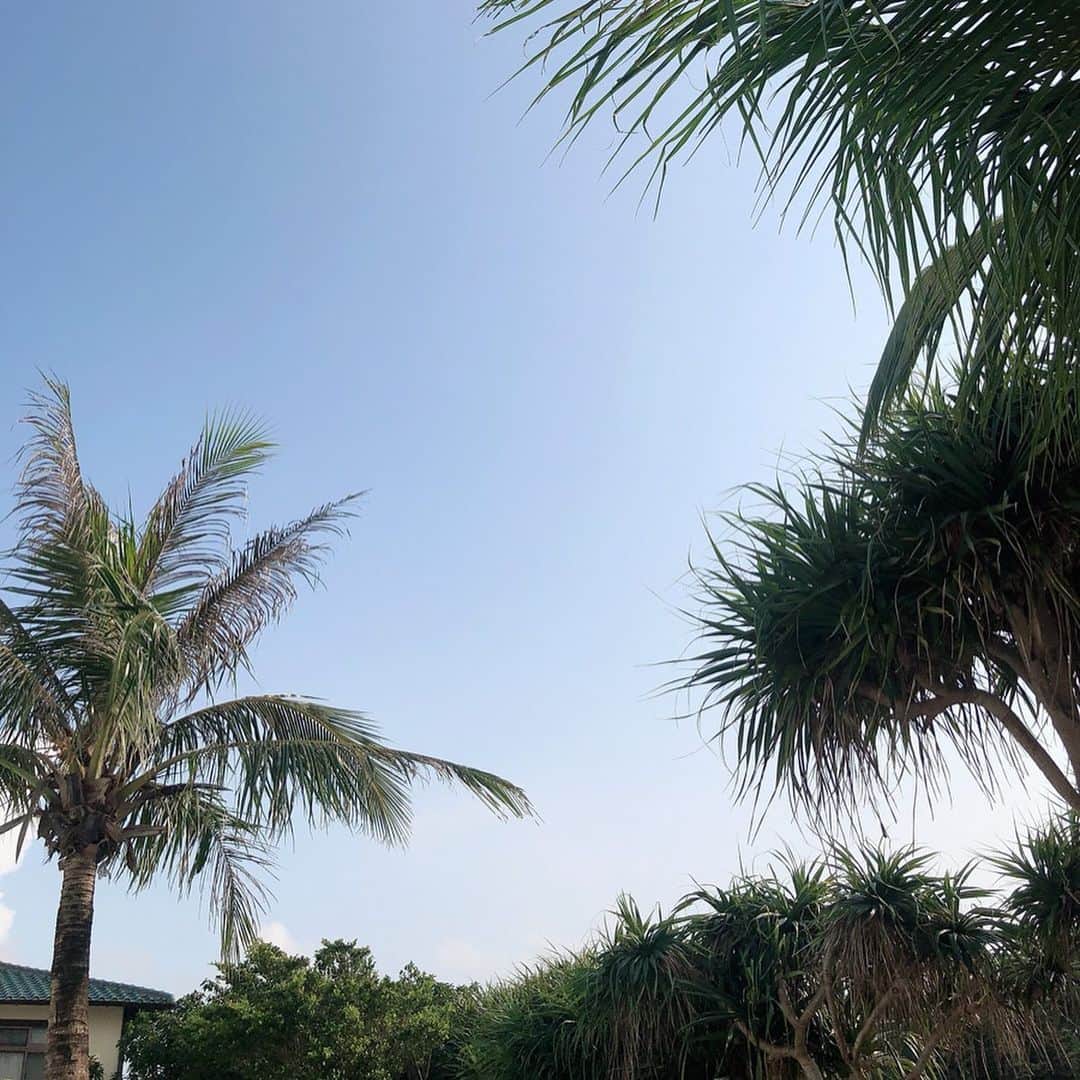 KAORI.OMURA 大村香織さんのインスタグラム写真 - (KAORI.OMURA 大村香織Instagram)「沖縄の思い出最後のpic📸 ・ お仕事始まりましたがまだ心は沖縄🏝といいたいところ。笑 ・ お天気にも恵まれた旅行となり楽しかったな沖縄旅🏝 ・ ほぼノープランで到着☺︎ ノープランで楽しめる旅って好きで今回はゆっくりノンビリとできました👙 ・ ホテルのプールが貸切状態という嬉しすぎる環境だったからかな？ ・ お部屋8室のプールのチェアーも8セットと揃っていたから必ず座れる✨ ・ 私は太陽が好きだからあまり気にはならないけれど、何故かパラソルが無かった点だけ驚きでした。笑。 ・ 朝食もブッフェでは無く個々にご用意いただけるスタイルも嬉しかった✨ ・ そして、真夏の沖縄は東京より涼しいと今回の旅で気付きました。 もしかしたらゴルフもできるかもしれない。笑。 ・ また沖縄これますように🙏 楽しいお休み旅行ありがとう✨ ・ #沖縄#沖縄旅行#沖縄旅行✈️ #プール#プール🏊 #旅行#trvel#vacation#国内旅行#青い空#綺麗な空#okinawa#summervacation#アラフォー#アラフォーライフ#水着#沖縄ホテル #ラカーサパナシアオキナワリゾート#ホテルプール#夏休み#大人の夏休み#旅好き #旅行好き✈️#オフショル水着#やしの木#南国 #海#ありがとう #📸撮るのが上手くなってきた。笑」8月22日 18時14分 - kaori.omura