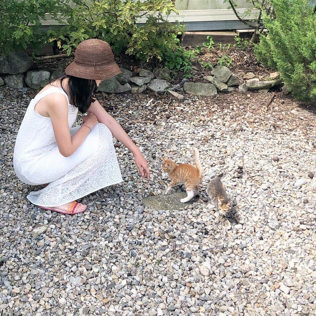 石坂友里さんのインスタグラム写真 - (石坂友里Instagram)「可愛いナビ🦋🌏チョウチョウって意味🦋本当にチョウチョウみたいに飛び回ってた🥺まだ生まれたばかりだからかな、2匹同じ名前だった🥺笑 예쁜 나비야 🦋 진짜 나비처럼 뛰어 놀고 있었어요🥺태어난지 얼마 안 되서 인지  둘다 같은 이름였어요🥺ㅎㅎ」8月22日 18時34分 - yuri.d