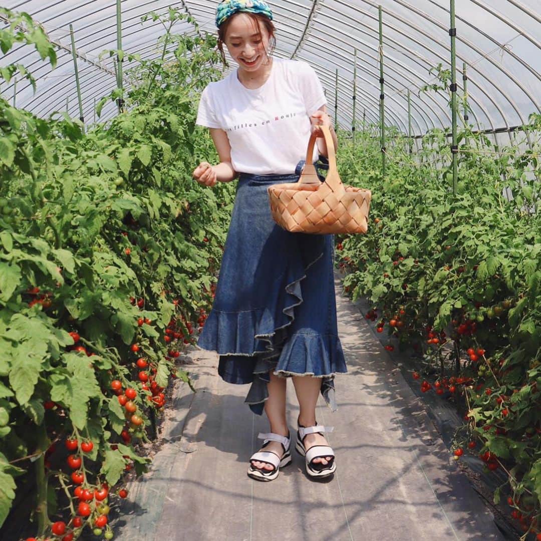 sayoko_betseyさんのインスタグラム写真 - (sayoko_betseyInstagram)「tomato paradise🍅 . . 今年も行ってきましたトマト狩り with MaY marchéの食いしん坊女子  この"プチプヨ"っていうトマトを教えてもらってからすっかりハマっております🤤 甘くて柔らかい♡♡ トマト狩りは赤くて美味しいやつを探すのに夢中で、宝探しみたいだねって言ってました🍅 . 北海道流の夏遊びはいつも #ややワイルド . . . ファーム弦さんはMaY marchéにもトマトの販売しに来てくれるので、札幌の方は行ってみてね♡ . . photo by @8686_haru . . #🍅 #hokkaido #discoverhokkaido #hokkaidolikers #naganuma #北海道 #北海道旅行 #トマト #トマト狩り #長沼  #週末野心 #ぷちぷよ #北海道に恋してる」8月22日 19時32分 - sayoko_betsey
