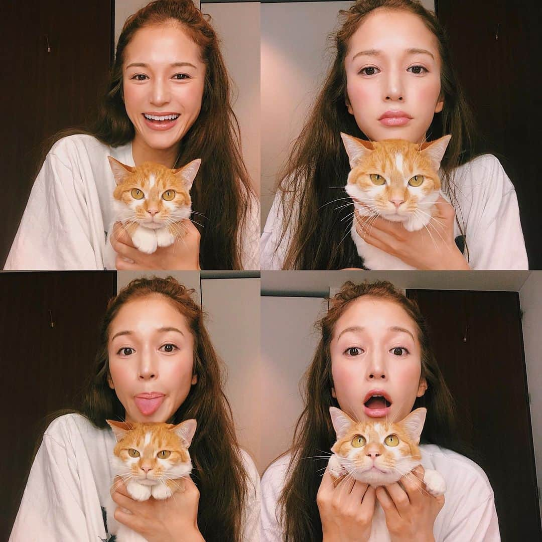 fukishaljさんのインスタグラム写真 - (fukishaljInstagram)「Selfie with my little girl 🐈🍋☀️ 冬に雪山で餓死状態をだったれもんを拾ってから約半年がすぎました。 ふっくら 、ふわふわな立派な猫ちゃんに。 性格は、みんなにわんちゃんみたいってゆわれる 犬らしい猫ちゃんです 😊 ・ ・ れもんは退屈そうだけど…笑 可愛く加工してくれる自撮りアプリを教えてもらったのでうちにきて半年記念セルフィー😋 ・ 猫パンチや噛んだりした事のない温和な性格のれもん、こんな良い子が捨てられたり殺処分される動物がまだまだいる事。悲しい現実も多いけれど、出来る事は自分なりにしていきたいです。 小さな事でも募れば大きな変化となるとおもいます。 感謝忘れずに、日々良い変化していけるよう意識します 💡 いま温めているプロジェクトもあってみなさんにはやくお知らせできる様がんばります 💪🏻🌍 #自分メモ📝」8月22日 19時57分 - fukicammy_official