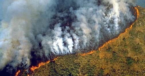Elva Niさんのインスタグラム写真 - (Elva NiInstagram)「亞馬遜森林已經燒了3個星期了😭🌎 雖然沒有巴黎聖母院大火那樣觸動人心，但也請大家多關注遠在南美洲的亞馬遜熱帶雨林大火。這個被稱為「地球之肺」的全球第一大雨林，吸收二氧化碳所產生的氧氣佔全球氧氣總量的1/10，可是現正面對著人類的濫伐開發，遭遇有紀錄以來最頻繁的森林大火，令全球變暖的溫室效應雪上加霜。  Please take a moment to pray for the land that is getting destroyed and the thousands of animals and villagers who stay in the Amazonia. 'The Planet's Lung" has been burning at a record rate of weeks.  Pray the fire stops, pray for any life in the Forrest to be safe and pray that the Forrest in time will return to its glory.  #PrayForAmazonia  #AmazonRainforest #PrayForAmazonas #為地球祈禱」8月22日 20時13分 - misselvani
