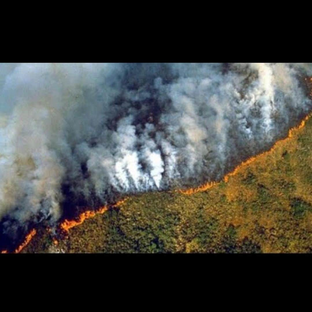 フェルナンダ・リマさんのインスタグラム写真 - (フェルナンダ・リマInstagram)「Barbárie ambiental. Ate quando? #AMAZÔNIA #TODOSPELAAMAZONIA  Imagens representativas de dor e caos para expressar a indignação.」8月22日 20時20分 - fernandalima